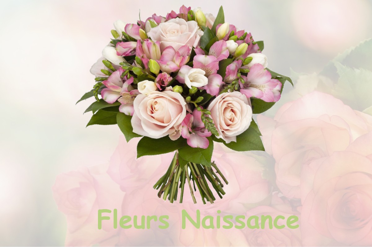 fleurs naissance BELRAIN