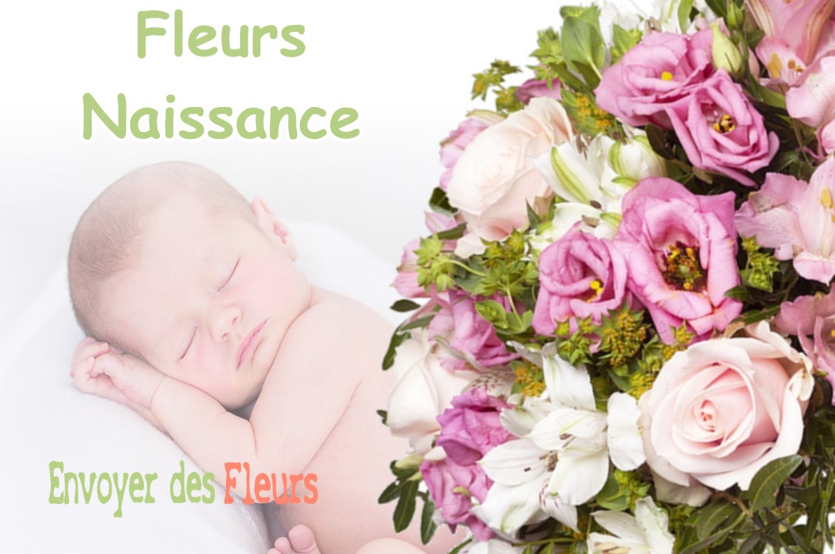 lIVRAISON FLEURS NAISSANCE à BELRAIN